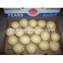 fresh pears bulk purchase 2012 new